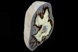 Polished, Septarian Slice With Crystal Cavities - Utah #80910-1